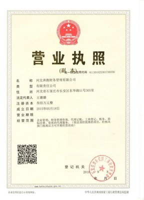 河北奔跑财务管理 企业登记代理服务的专业助手